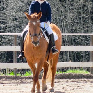 virna_IMG_3814.jpg