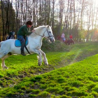 leevi_IMG_9100.jpg